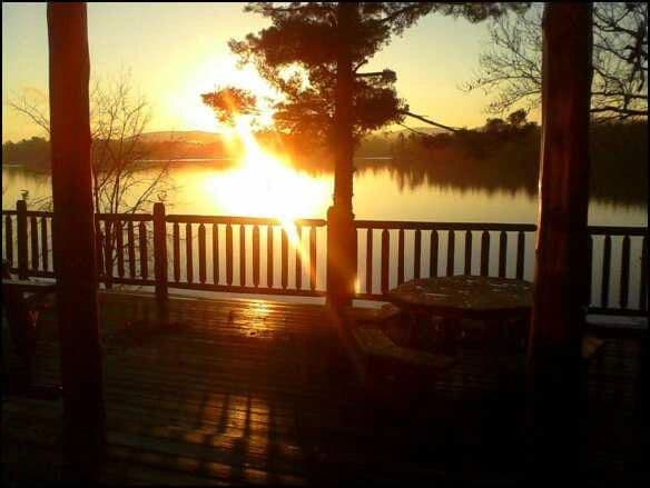 Daiker's — hero image