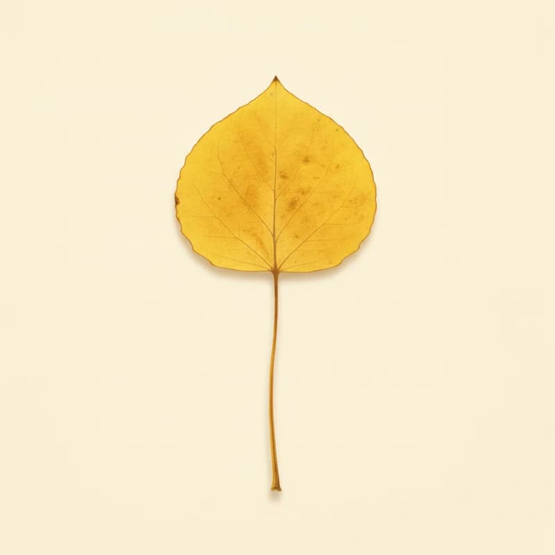 Quaking aspen (Populus tremuloides) — pressed-leaf specimen at peak fall color