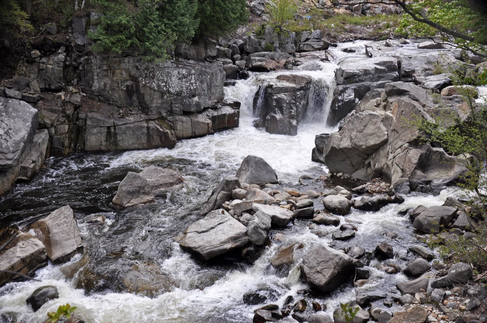 The West Branch Ausable in Wilmington — pocket water above the regulated section.