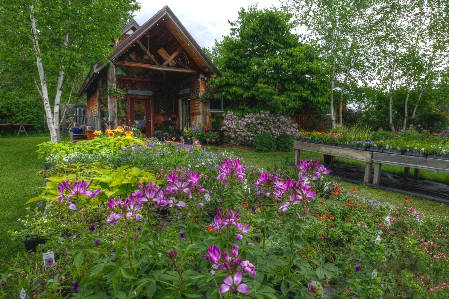 East Branch Organics — hero image