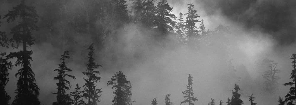 Crazy Loon Distillery — hero image