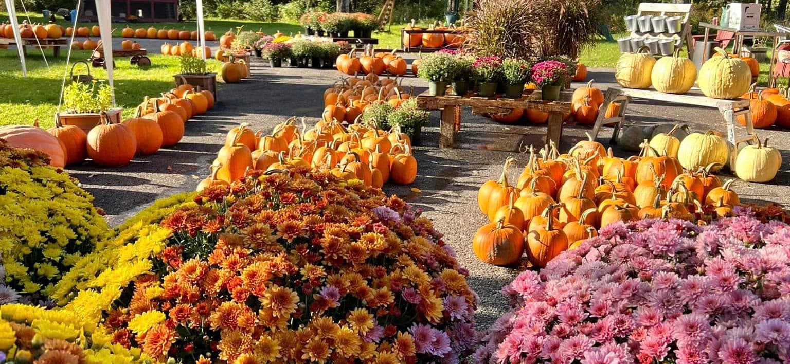 McClelland Family Farm — hero image