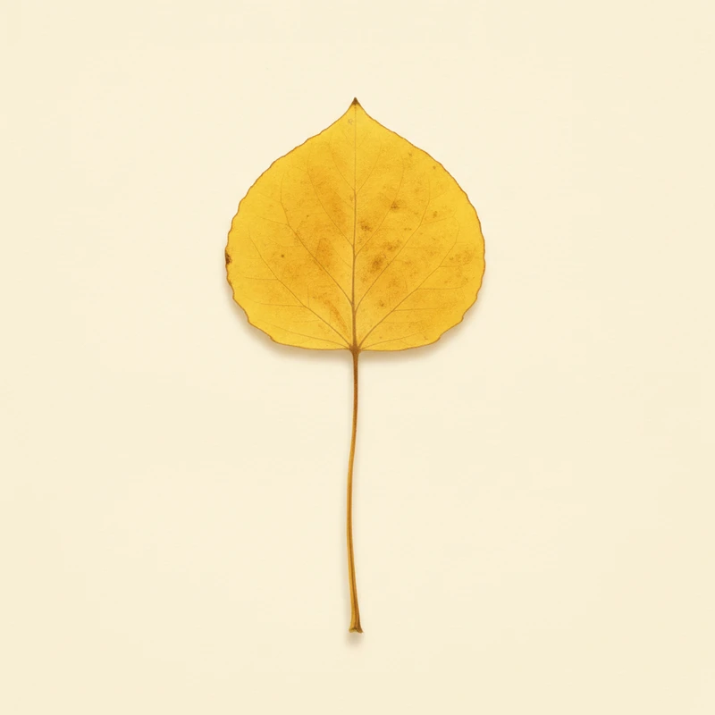 Quaking aspen (Populus tremuloides) — pressed-leaf specimen at peak fall color