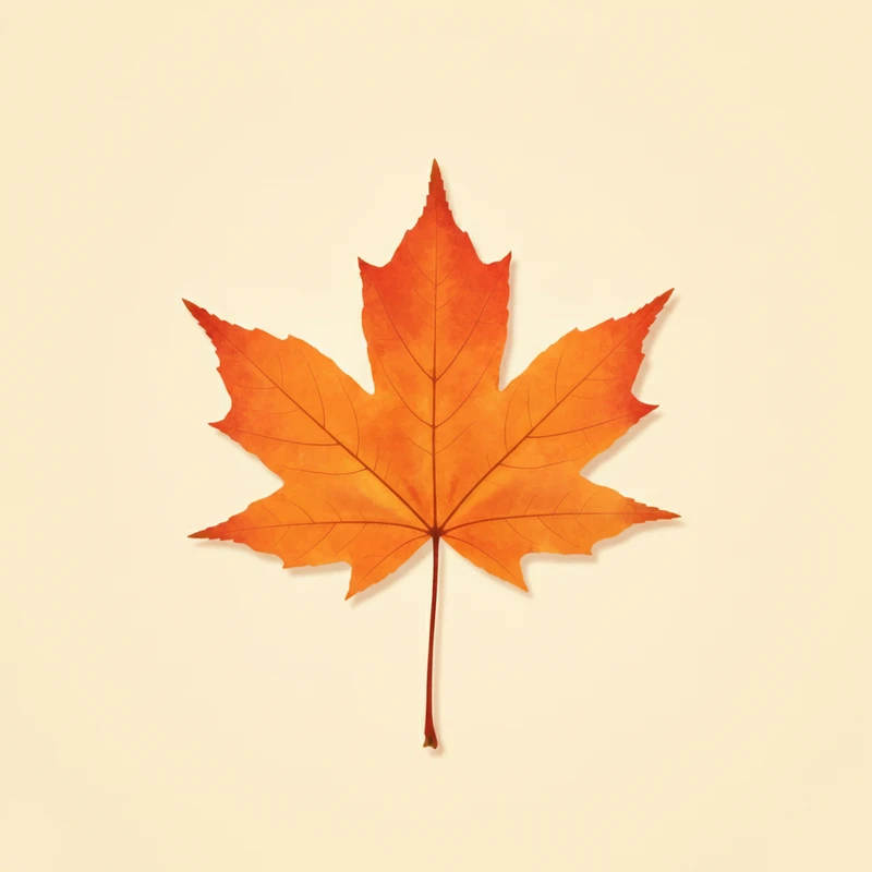 Sugar maple (Acer saccharum) — pressed-leaf specimen at peak fall color