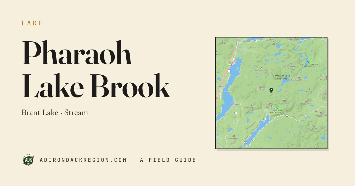 Pharaoh Lake Brook — Adirondack Stream · brant lake · AdirondackRegion.com